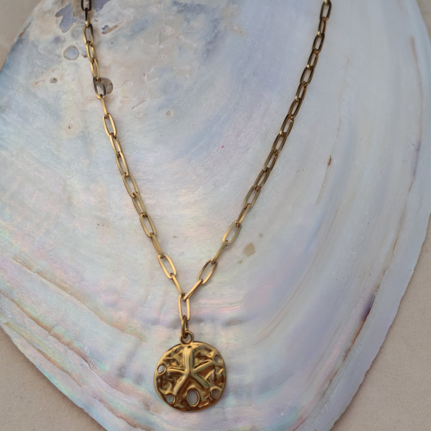 Sanddollar Necklace