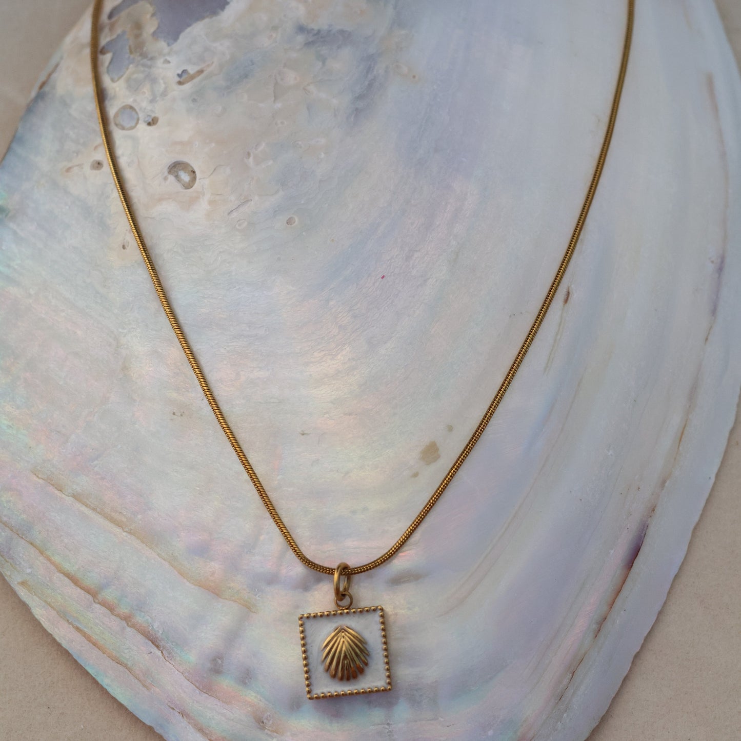 Shell Necklace