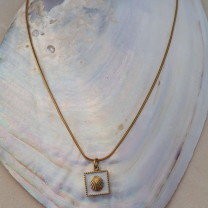 Shell Necklace
