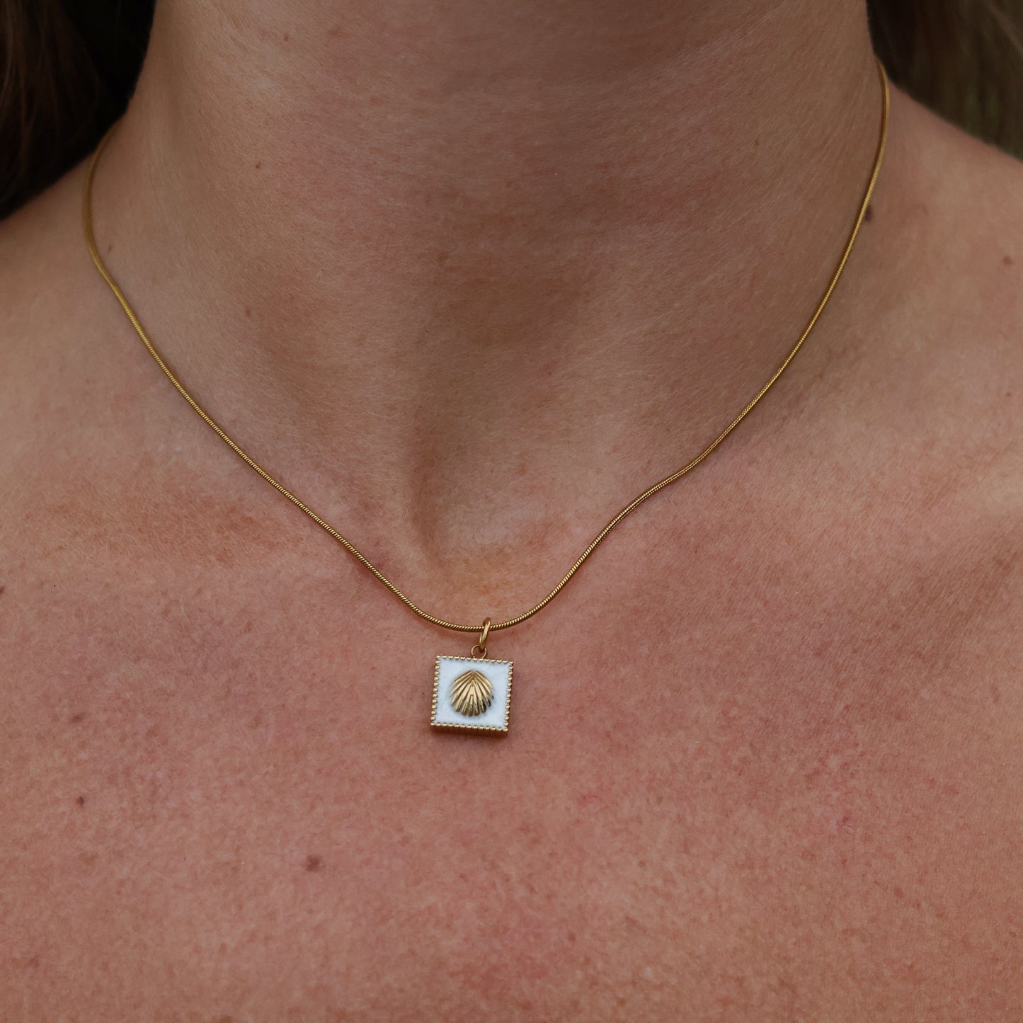 Shell Necklace