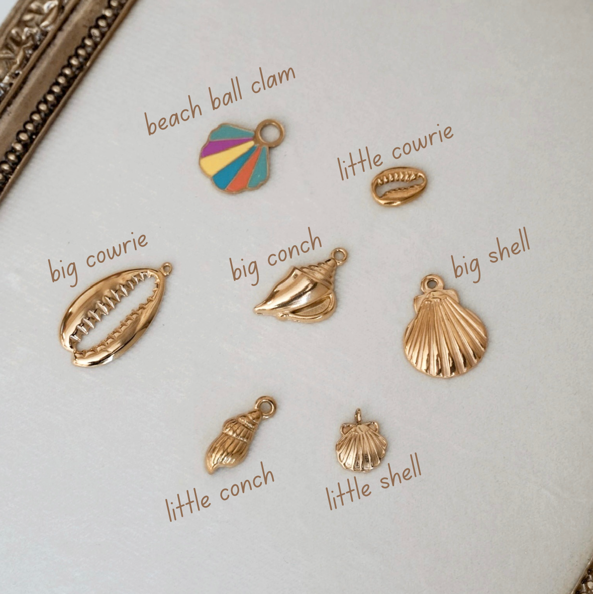 Shell Charms