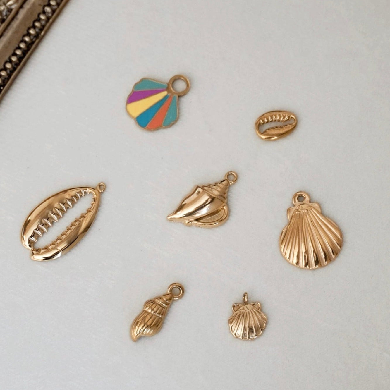 Shell Charms